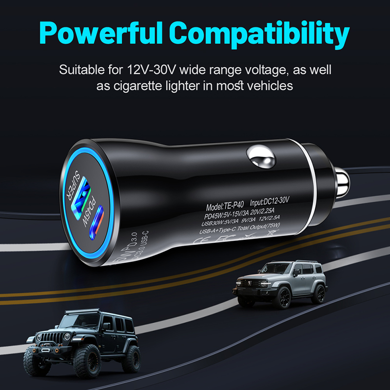 Chargeur de voiture USB C doub - Usb C Power Adapter avis et prix
